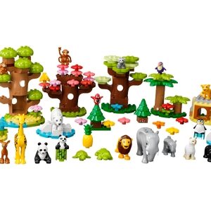 Wilde dieren van de wereld (10975)