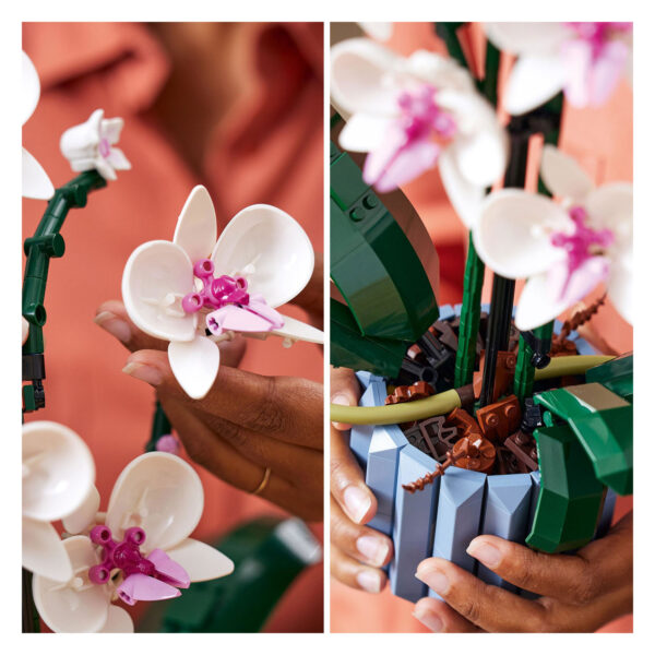 Lego Icons 10311 Orchidee - Afbeelding 5