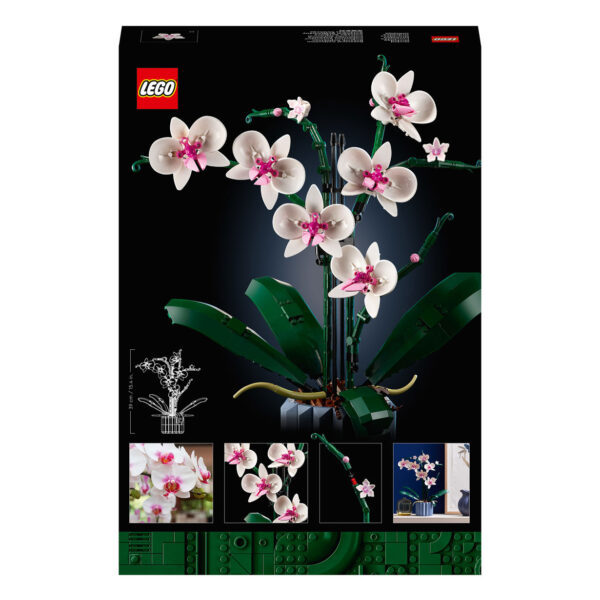 Lego Icons 10311 Orchidee - Afbeelding 8