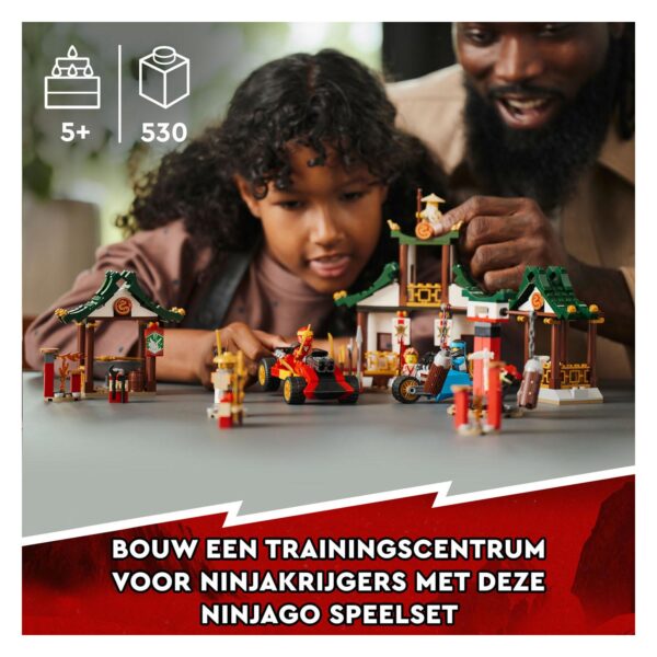 LEGO Ninjago 71787 Creatieve Ninja Opbergdoos - Afbeelding 10