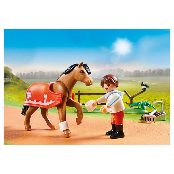 Playmobil Country  Verzamelpony Connemara - 70516 - Afbeelding 2