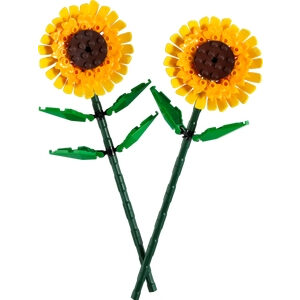 Zonnebloemen (40524)