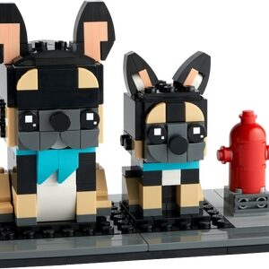Franse buldog (40544)
