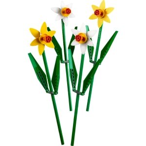 Narcissen (40646)