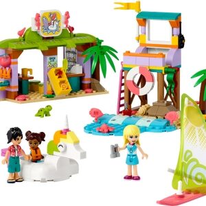 Surfer strandplezier (41710)