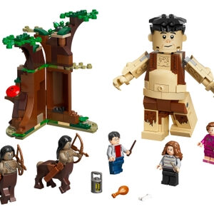 Het Verboden Bos: Omber's ontmoeting met Groemp (75967)
